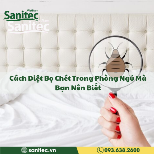 Cách Diệt Bọ Chét Trong Phòng Ngủ Mà Bạn Nên Biết